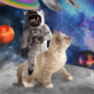 Meet your Posher, Owen